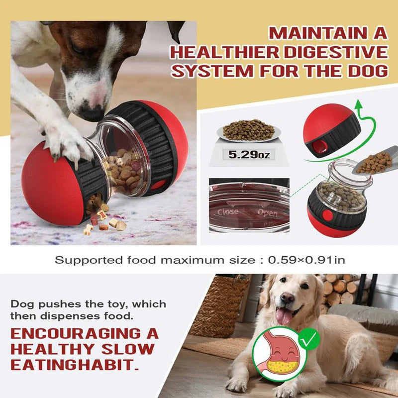 Interactive Treat Ball for Dogs – IQ Slow Feeder Toy for Training & Fun