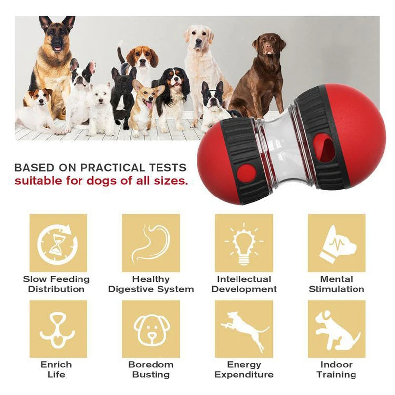 Interactive Treat Ball for Dogs – IQ Slow Feeder Toy for Training & Fun