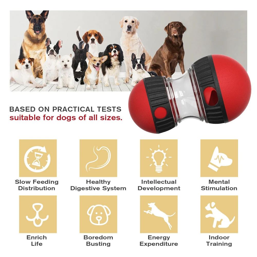 Interactive Treat Ball for Dogs – IQ Slow Feeder Toy for Training & Fun