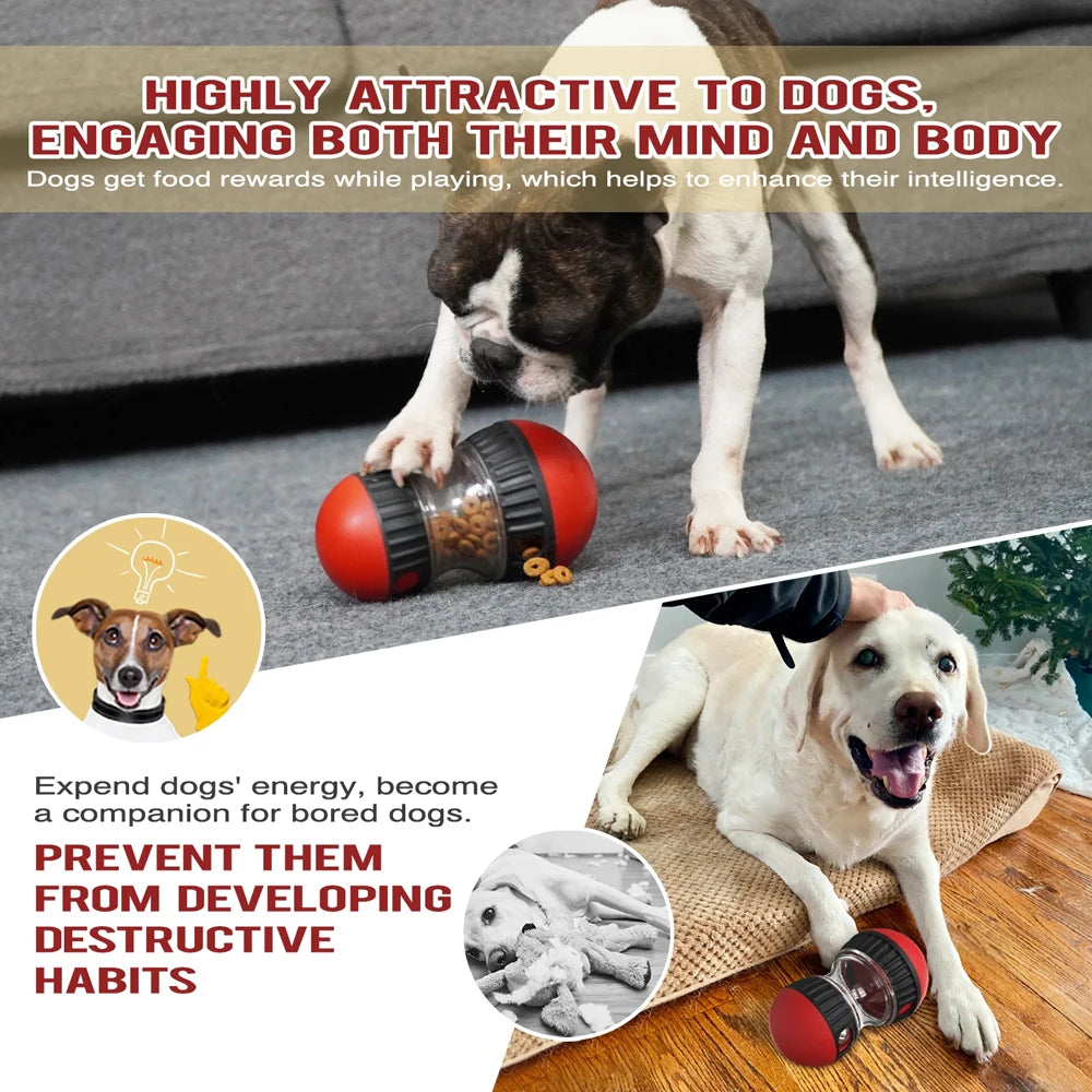 Interactive Treat Ball for Dogs – IQ Slow Feeder Toy for Training & Fun